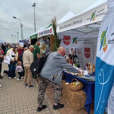 Besucher schauen sich Messest&auml;nde an.