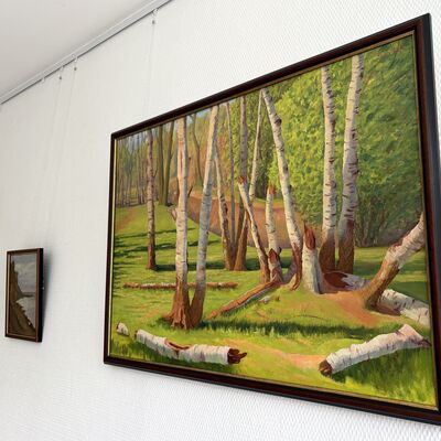 Farbige Naturbilder an einer wei&szlig;en Wand.